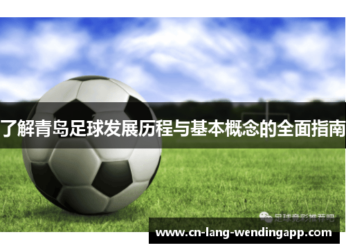 了解青岛足球发展历程与基本概念的全面指南