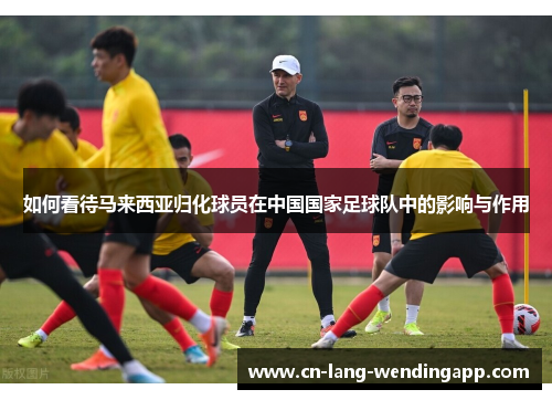如何看待马来西亚归化球员在中国国家足球队中的影响与作用