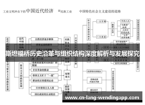 斯坦福桥历史沿革与组织结构深度解析与发展探究