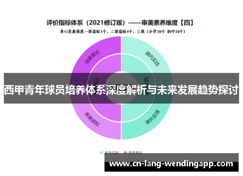 西甲青年球员培养体系深度解析与未来发展趋势探讨