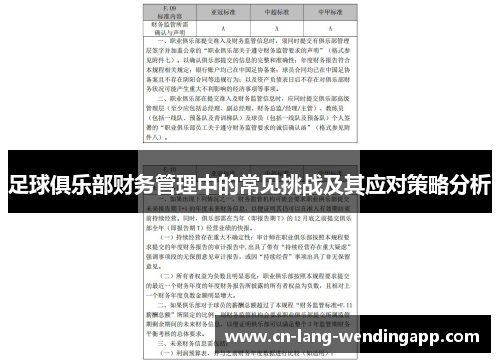 足球俱乐部财务管理中的常见挑战及其应对策略分析