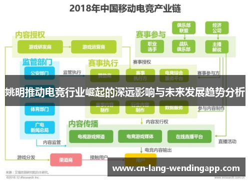 姚明推动电竞行业崛起的深远影响与未来发展趋势分析