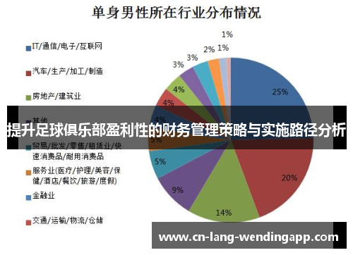 提升足球俱乐部盈利性的财务管理策略与实施路径分析