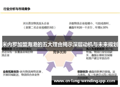 米内罗加盟海港的五大理由揭示深层动机与未来规划 米内罗加盟海港的五大理由揭示深层动机与未来规划
