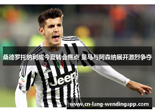 桑德罗托纳利成今夏转会焦点 皇马与阿森纳展开激烈争夺 桑德罗托纳利成今夏转会焦点 皇马与阿森纳展开激烈争夺