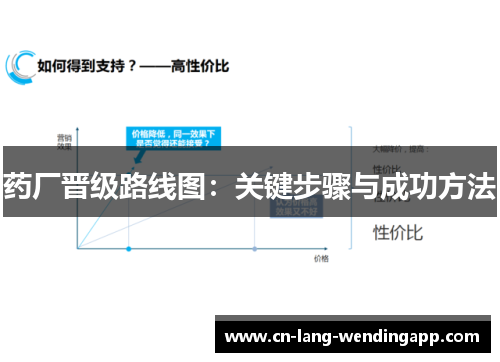 药厂晋级路线图：关键步骤与成功方法