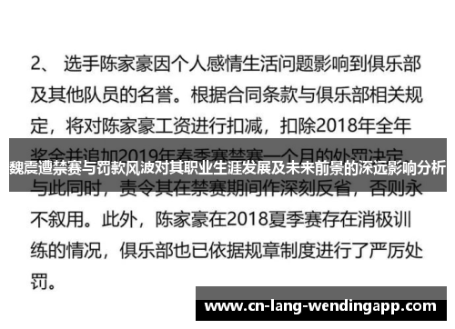 魏震遭禁赛与罚款风波对其职业生涯发展及未来前景的深远影响分析