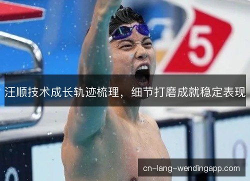 汪顺技术成长轨迹梳理，细节打磨成就稳定表现